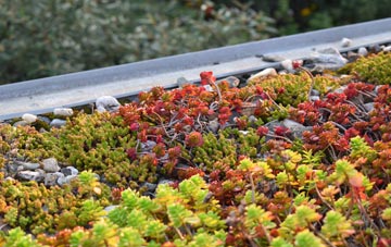 the cost of The Corner green roof installation