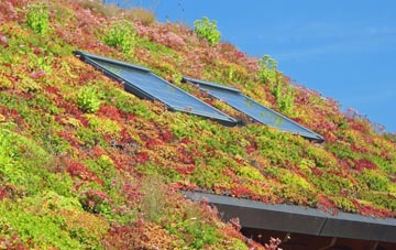 The Corner living roof systems