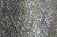 The Corner fibreglass roof work